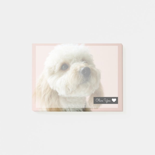 Cute Dog Overlay Post-it Notes (Front)