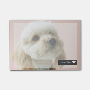 Cute Dog Overlay Post-it Notes