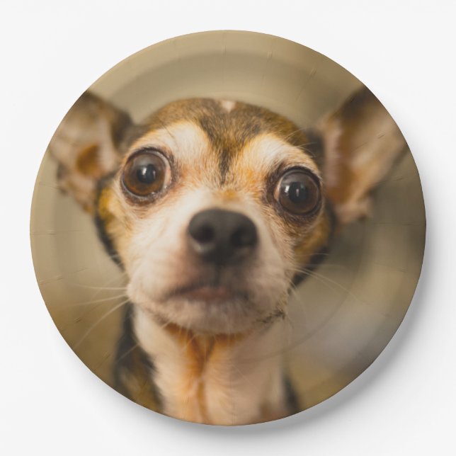 Cute Dog paper plates 10 (Front)