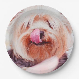 Cute Dog paper plates 5