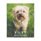 Cute Dog Personalised Pet Photo Custom