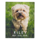 Cute Dog Personalised Pet Photo Custom