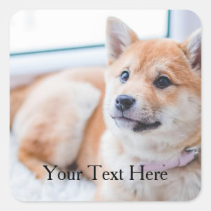 Cute Dog Personalised Photo and Text Square Sticker