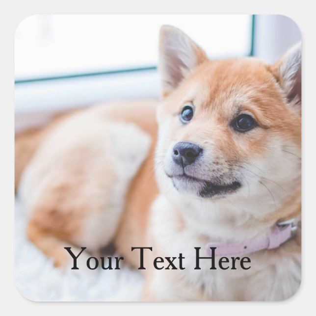 Cute Dog Personalised Photo and Text Square Sticker (Front)