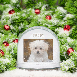 Cute Dog Pet 2 Photos Star Pattern Christmas Snowglobe