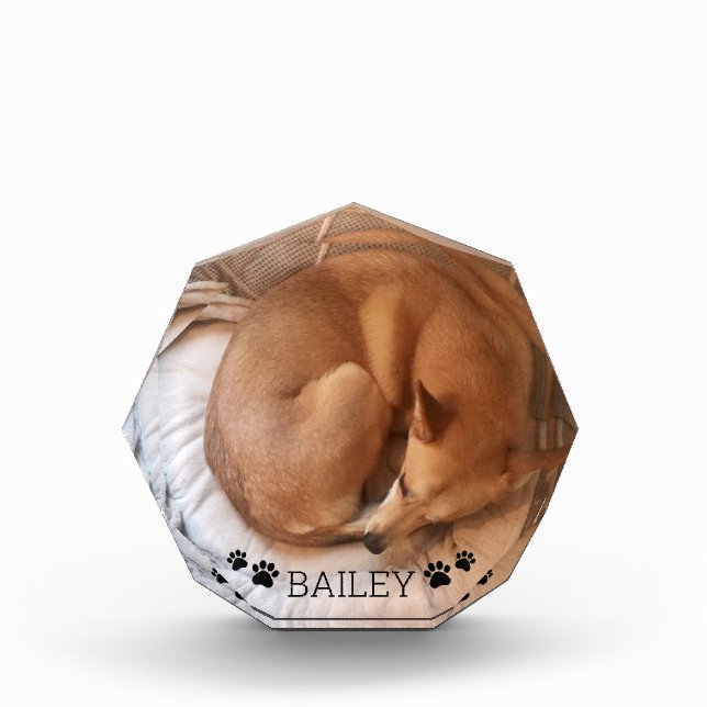 Cute Dog Pet Photo Name Pawprints Gemstone Block (Front)