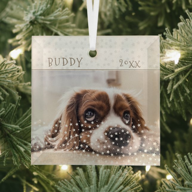 Cute Dog Pet Photo Star Pattern Christmas Glass Tree Decoration (Insitu)