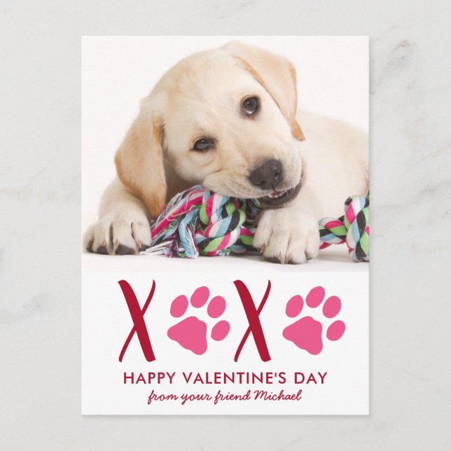 Cute Dog Pet Photo Valentines Day Holiday Card (Front)
