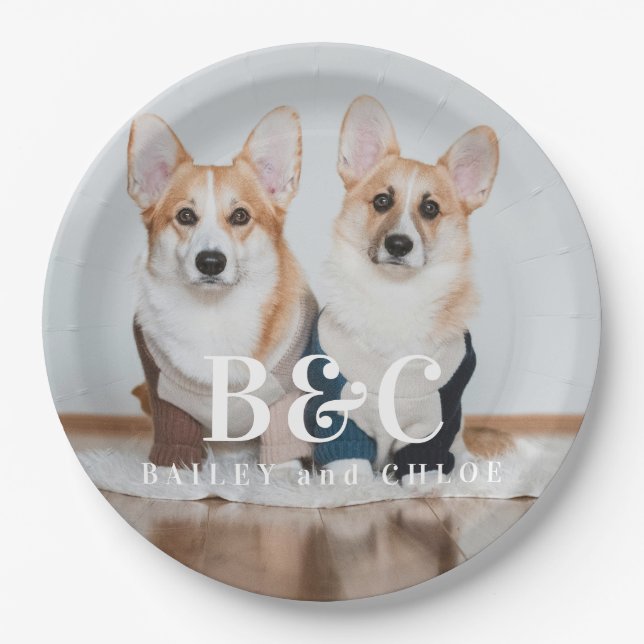 Cute Dog Pet Photo with Name Paper Plate (Front)