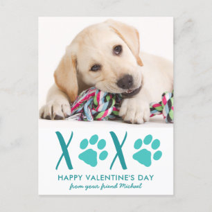 Cute Dog Pet Photo XOXO Valentine's Day Card