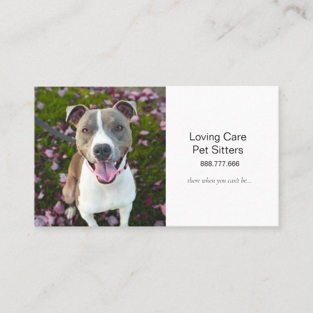 Cute Dog Pet Sitting and Services Business Card (Front)
