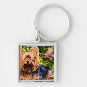 Cute Dog Pet Yorkie Peace Love Destiny Fun Art Key Ring