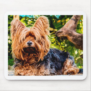 Cute Dog Pet Yorkie Peace Love Destiny Fun Art Mouse Mat