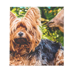 Cute Dog Pet Yorkie Peace Love Destiny Fun Art Notepad