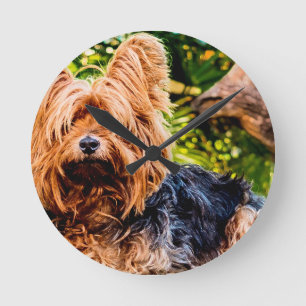 Cute Dog Pet Yorkie Peace Love Destiny Fun Art Round Clock