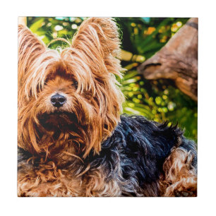 Cute Dog Pet Yorkie Peace Love Destiny Fun Art Tile