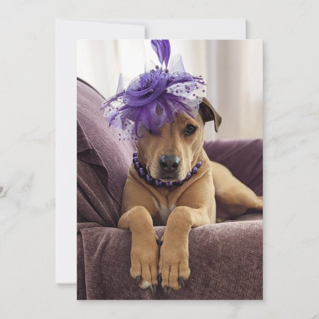 Cute Dog Photo Card fancy dress (Front)