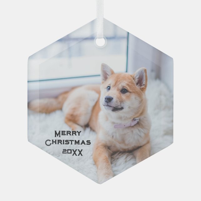 Cute Dog Photo Glass Ornament Christmas Holidays (Front)