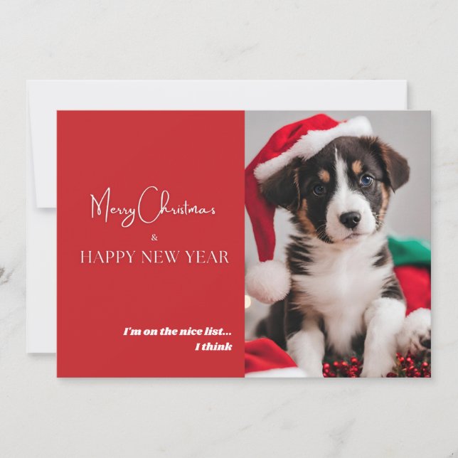Cute Dog Photo Holiday Card (Front)