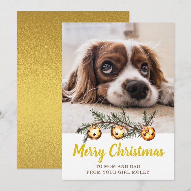 Cute Dog Photo Merry Christmas Mom Dad Gold Holiday Card (Front/Back)
