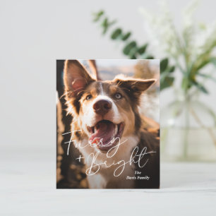 Cute Dog Photo Modern Budget Christmas Card