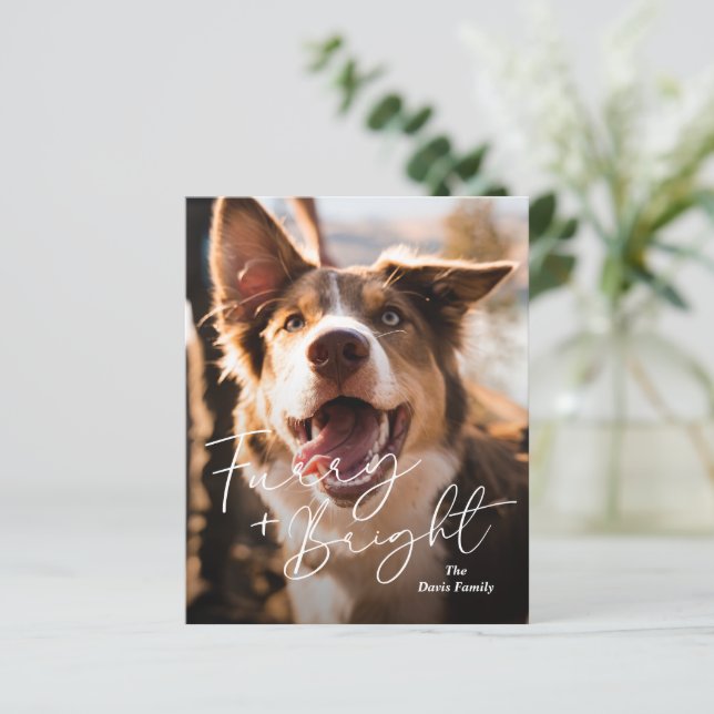 Cute Dog Photo Modern Christmas Card (Standing Front)