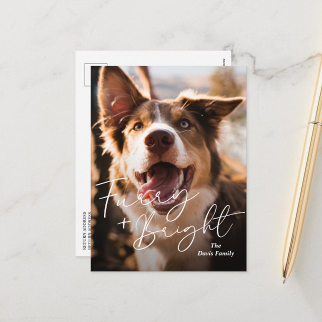 Cute Dog Photo Modern Christmas Holiday Postcard (Front/Back In Situ)