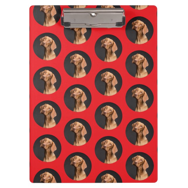 Cute Dog Photo Modern  Clipboard (Front)