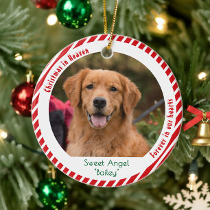 Cute Dog Photo Pet Memorial Keepsake Christmas Ceramic Tree Decoration