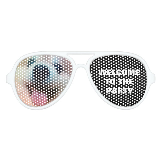 Cute Dog Photo Pomeranian Birthday Party Aviator Sunglasses (Front)