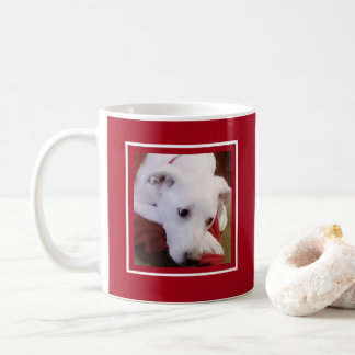 Cute Dog Photo White and Red Merry Christmas Coffee Mug