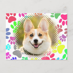 Cute Dog Picture Paw Pattern Custom  Postcard