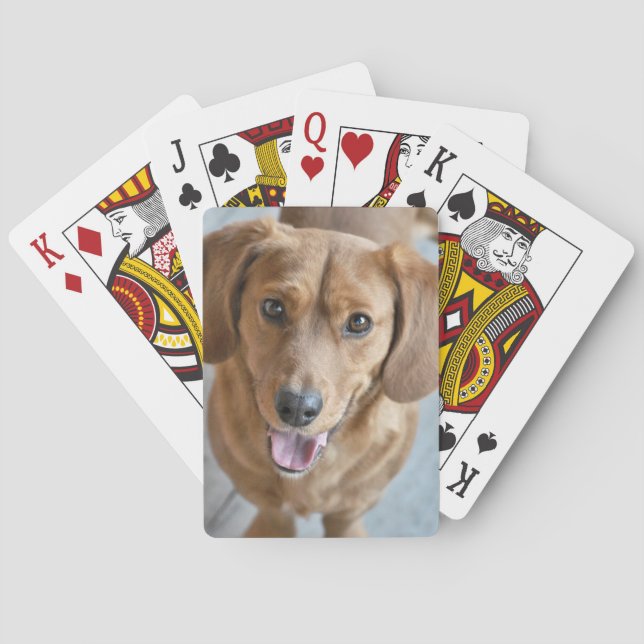 Cute Dog Playing Cards (Back)