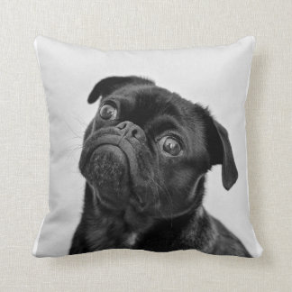 Cute dog  pug  pillow