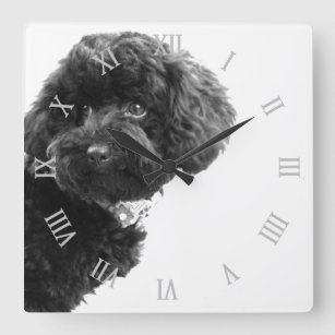 © Cute Dog Puppy Black and White/Photography Square Wall Clock
