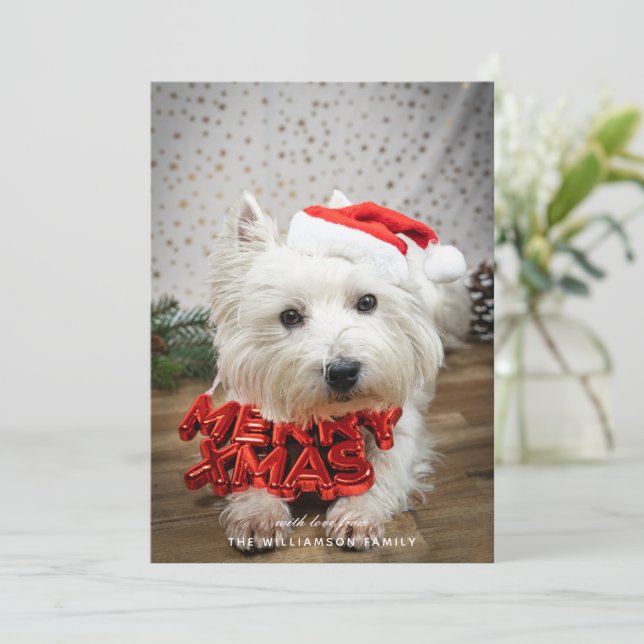 Cute Dog Puppy Merry Christmas Card (Standing Front)