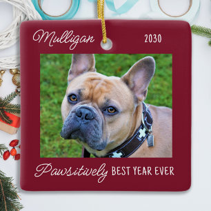 Cute Dog Red Quarantine Christmas Pet Photo Ceramic Ornament