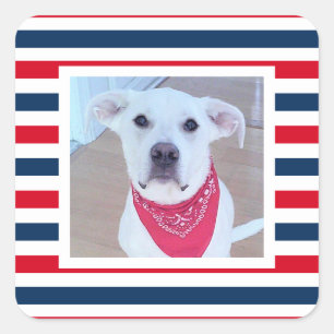 Cute Dog Red White Blue Stripes Patriotic Photo Square Sticker