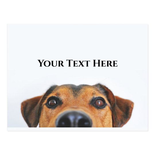 Cute Dog Saying Hello Customisable Blank Postcard Zazzle.co.uk