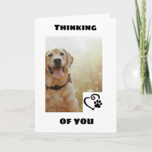 *CUTE DOG SAYS TO HAVE A HAPPY* BIRTHDAY CARD