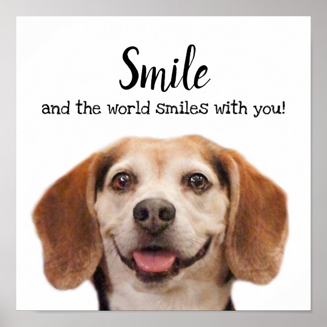 Cute Dog Smiling Photo Smile Quote Beagle Poster (Front)