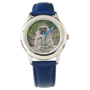 Cute Dog watches