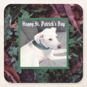 Cute Dog Wearing Green Scarf St. Patrick's Day Square Paper Coaster