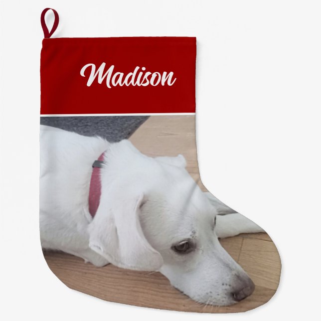 Cute dog Wearing Red Collar Large Christmas Stocking (Front)