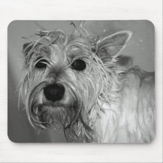 Cute Dog - Westie (West Highland Terrier) Mouse Mat