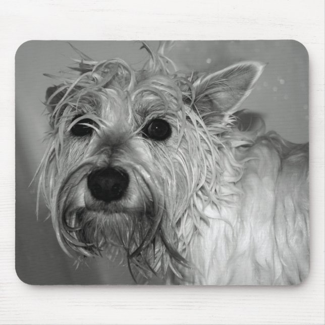 Cute Dog - Westie (West Highland Terrier) Mouse Mat (Front)