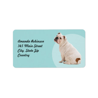 Cute dog white bulldog label