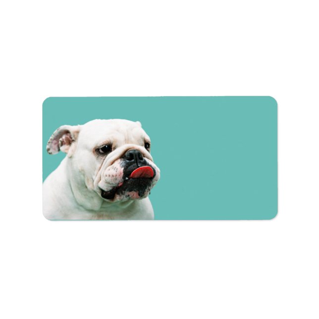 Cute dog white Bulldog Label (Front)