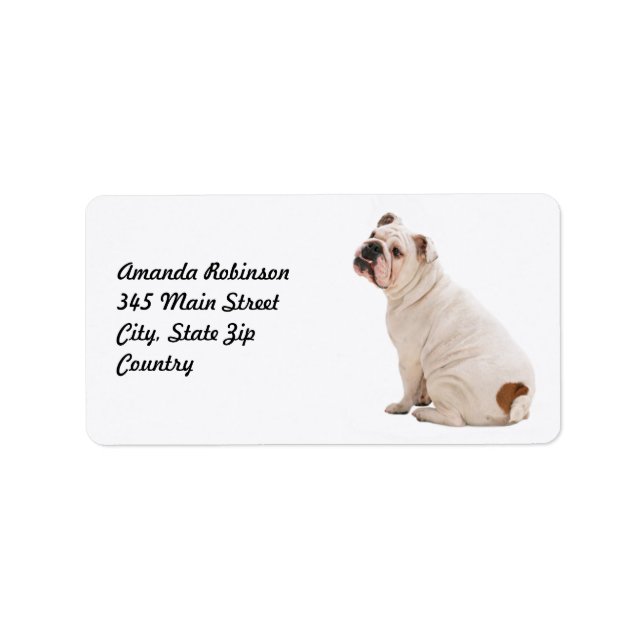 Cute dog white bulldog label (Front)