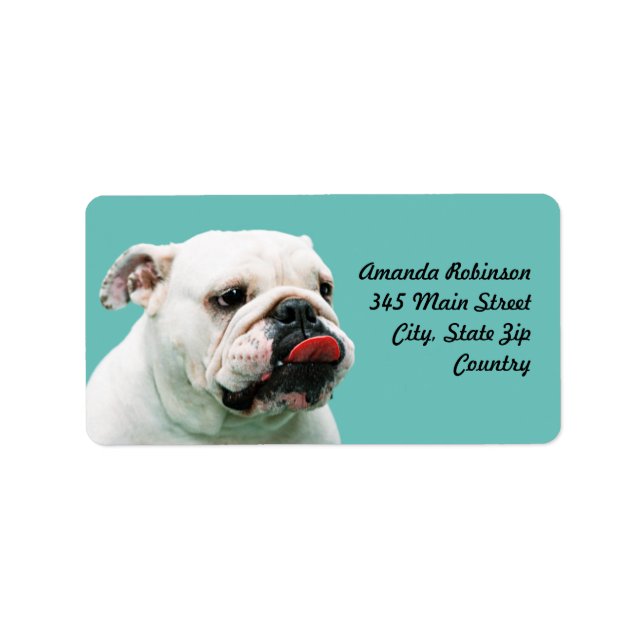 Cute dog white Bulldog Label (Front)